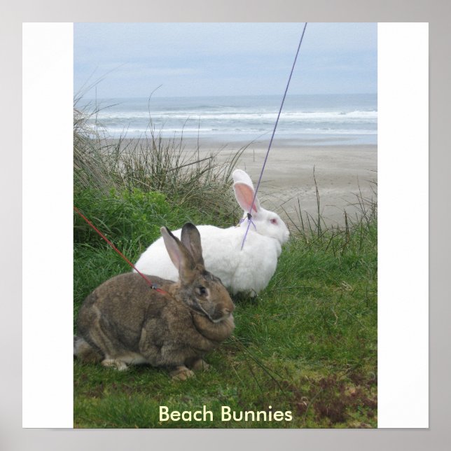 Poster de Bunnies de Praia - Personalizado (Frente)