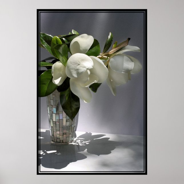 Poster de Buquê Magnolia - 40x60 - outros tamanhos (Frente)