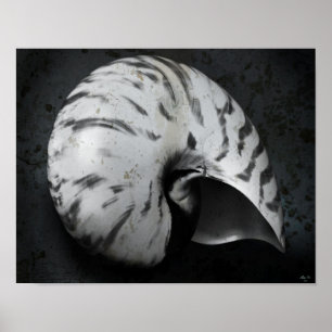 Poster de BW do nautilus