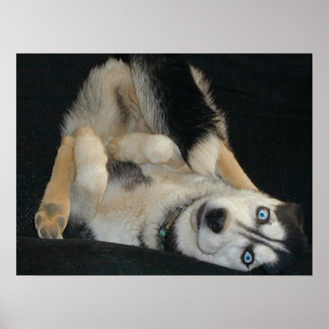 Poster de Cabeça sobre Calores (Frente)