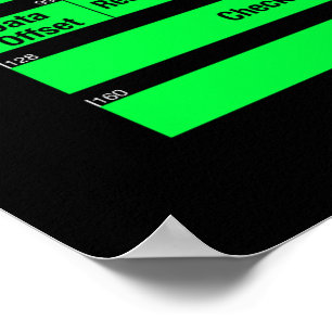 POSTER de Cabeçalhos IPv4 e TCP