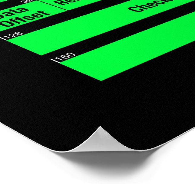 POSTER de Cabeçalhos IPv4 e TCP (Borda)