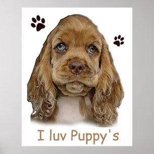poster de cachorrinho