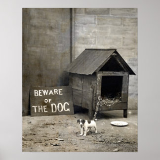 Poster de Cachorro Engraçado