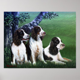 Poster de Cachorro Espanhol Inglês Springer