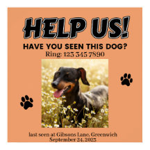 POSTER DE CACHORRO PERDIDO. AJUDE-NOS! Poster de d