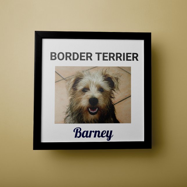 Poster de Cachorro Personalizado de Borda (Criador carregado)