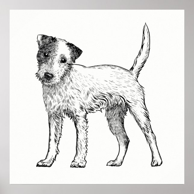 Poster de Cachorro / Wall Art Jack Russell Terrier (Frente)