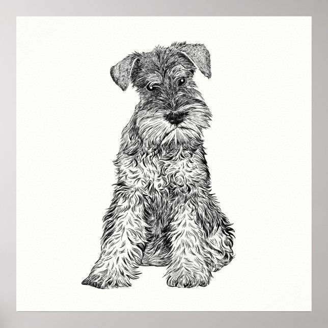 Poster de Cachorro/Wall Art Schnauzer (Frente)