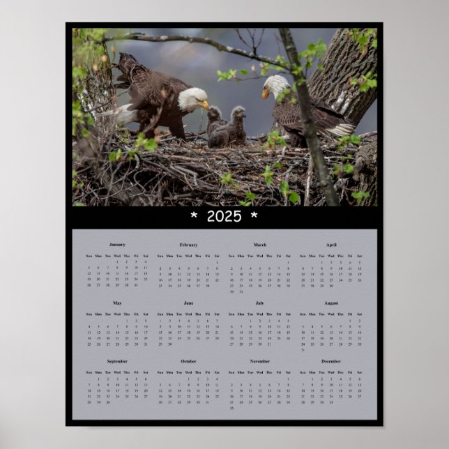 poster de Calendário da Parede da Águia Balda 2025 (Frente)