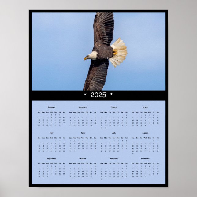 poster de Calendário da Parede da Águia Balda 2025 (Frente)