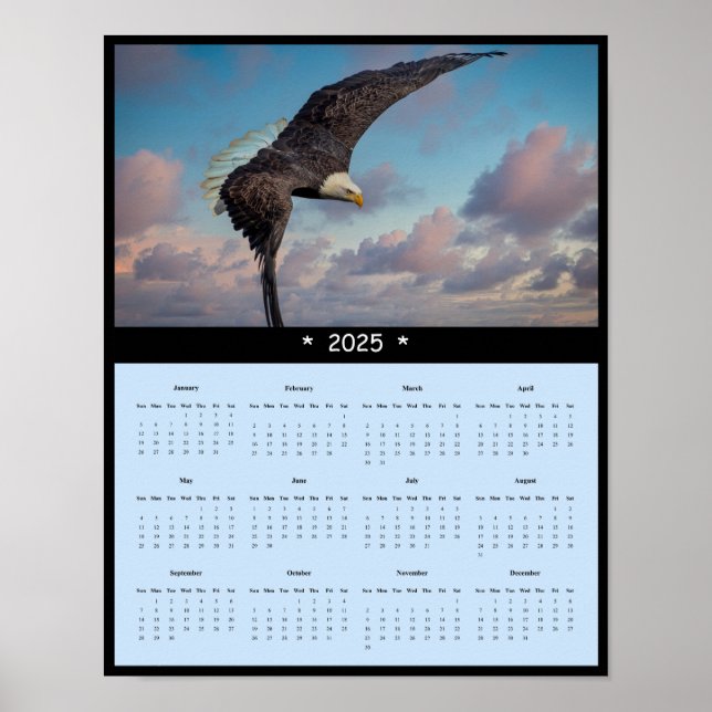 poster de Calendário da Parede da Águia Balda 2025 (Frente)