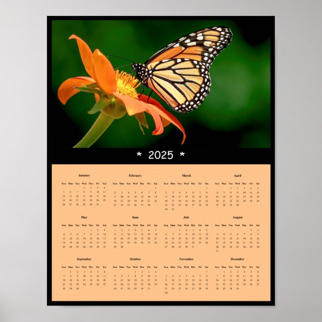 poster de Calendário da Parede da Borboleta Monarc (Frente)