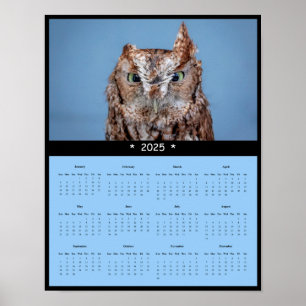 poster de Calendário da Parede da Coruja Oriental 