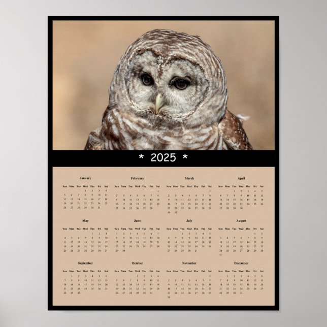 poster de Calendário da Parede de Coruja Barred 20 (Frente)