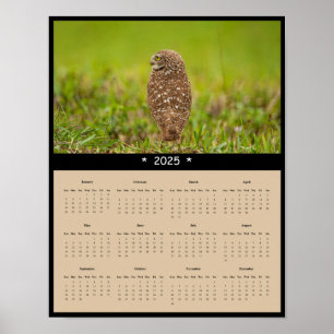 poster de Calendário da Parede de Coruja Burrowing