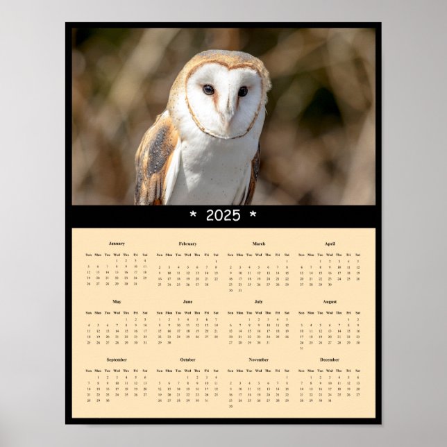 poster de Calendário da Parede do Coruja 2025 (Frente)