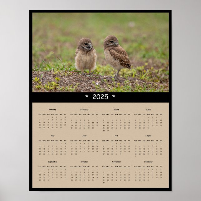 poster de Calendário da Parede dos Corujas Burrowi (Frente)