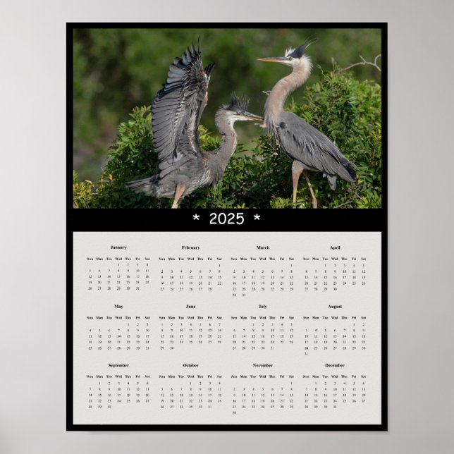 poster de Calendário da Parede Heron Azul do Excel (Frente)