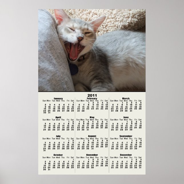 Poster de Calendário de Jasper Yawning Kitten 2011 (Frente)