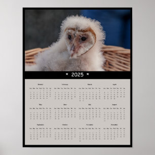 poster de Calendário de Muro de Coruja Imatura 202