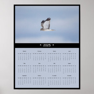 poster de Calendário de Muro do Harrier Hawk, Nort