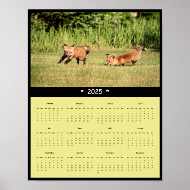 poster de Calendário de Muros dos Kits Red Fox 202 (Frente)
