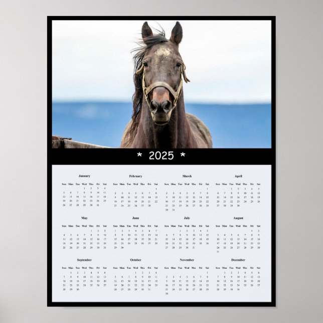 poster de Calendário de Parede Cavalo 2025 (Frente)