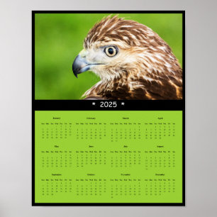 poster de Calendário de Parede Hawk de 2025