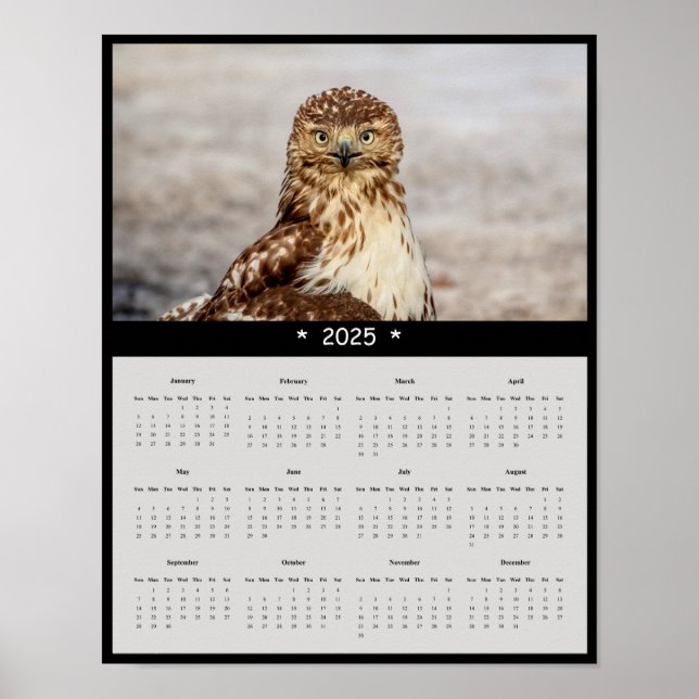 poster de Calendário de Parede Hawk de 2025 (Frente)