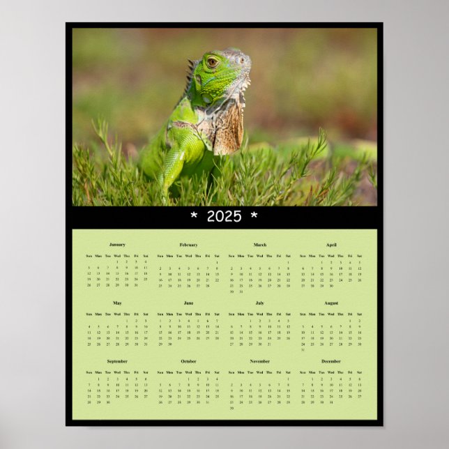 poster de Calendário de Parede Iguana 2025 (Frente)