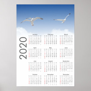 Poster de Calendário de Seagull 2020