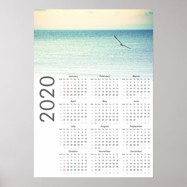 Poster de Calendário de Seagull 2020 (Frente)
