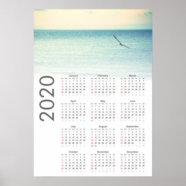 Poster de Calendário de Seagull 2020 (Frente)