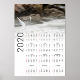 Poster de Calendário de Seagull 2020