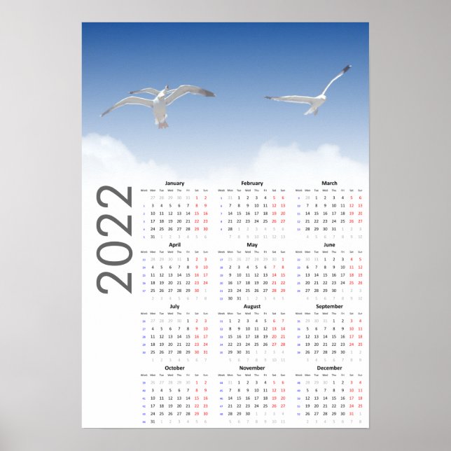 Poster de Calendário de Seagull 2022 - Segunda-fei (Frente)