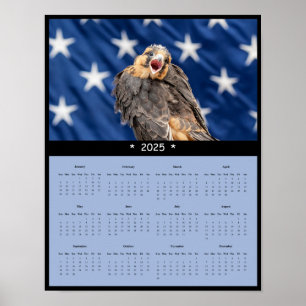 poster de Calendário do Falcão Adiplomado 2025