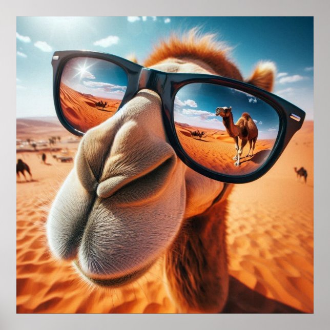 Poster de Camel legal (Frente)