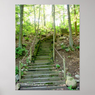 Poster de Caminho das Escadas da Floresta
