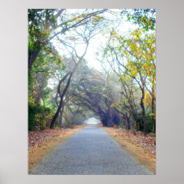 poster de caminho de naduras