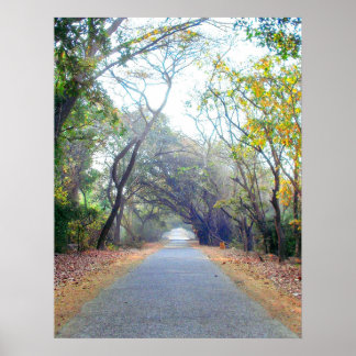 poster de caminho de naduras