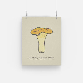 Poster de Canterelle Mushroom