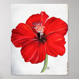 Poster de Canvas Premium do Red Hibiscus