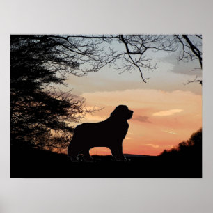 Poster de cão da Terra Nova