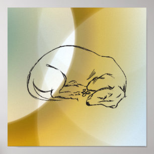 Poster de Cão Dachshund Dormindo