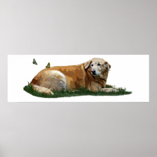Poster de Cão de Raça Mista de Labrador Amarelo