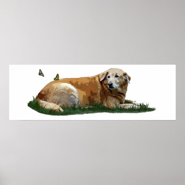 Poster de Cão de Raça Mista de Labrador Amarelo (Frente)