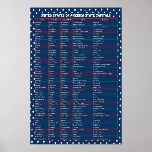 Poster de Capitais dos Estados Unidos (Frente)