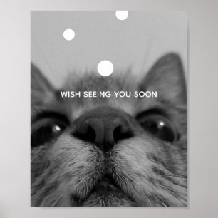 Poster de Cartão-postal de Gato Preto&Branco