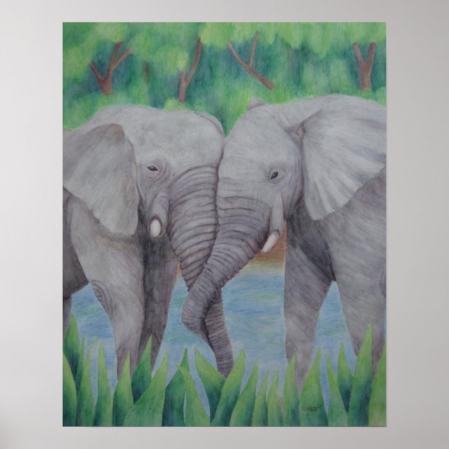 Poster de Casal de elefante (Frente)